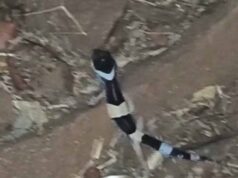 पहली बार कैमरे में कैद लेपर्ड गेको! अबूझमाड़ के घने जंगलों से सामने आया हैरान करने वाला नजारा