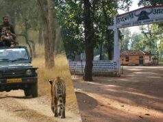 Forest Protection Model: उदंती सीतानदी में 750 जल स्रोतों के साथ ‘फायर-वॉटर’ रणनीति, आग पर काबू