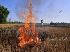 कृषि मंत्री कंषाना ने कहा- नरवाई जलाना खेत और सेहत दोनों के लिए नुकसानदायक