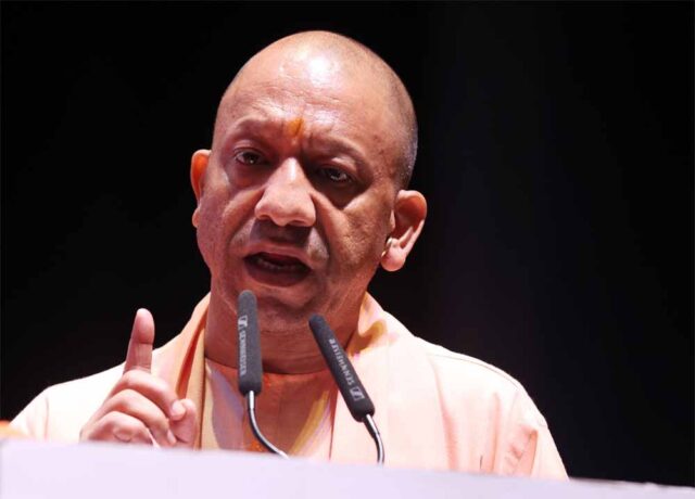 yogi-1.jpg