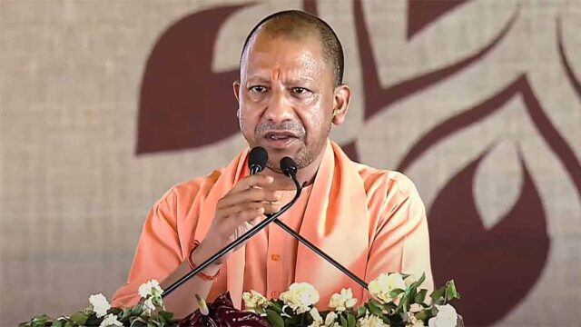 yogi1-3.jpg