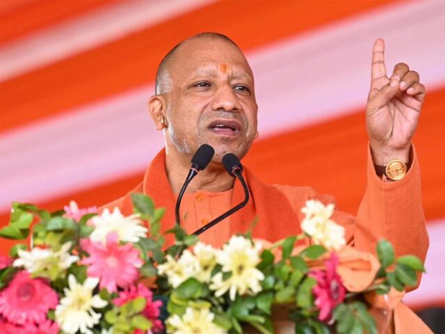yogi5.jpg