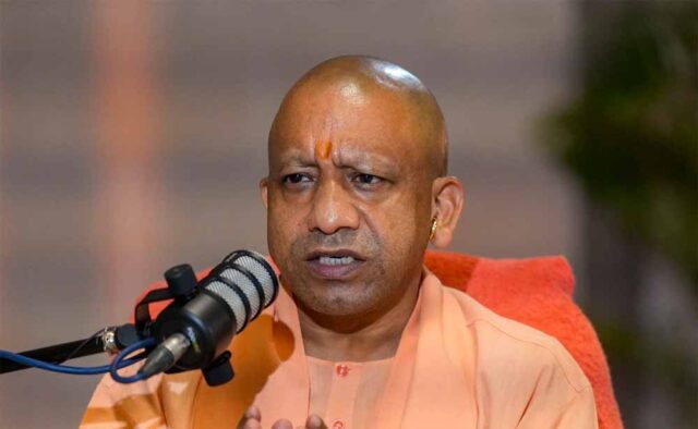 yogi_news1-2.jpg