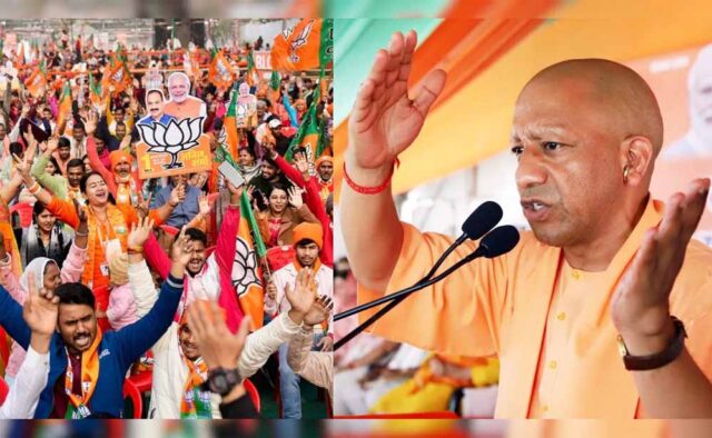 yogi_raily.jpg