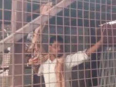 लखनऊ कचहरी में बवाल: बुलडोजर कार्रवाई के बीच वकीलों पर पुलिस का लाठीचार्ज