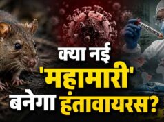 क्रूज शिप पर हंतावायरस का कहर, 3 मौतों के बाद WHO ने जारी किया अलर्ट