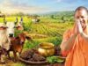 योगी सरकार का बड़ा प्लान: गोबर-गोमूत्र से बनेगा ऑर्गेनिक फर्टिलाइजर, गांवों में बढ़ेगा रोजगार