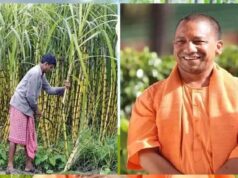 यूपी सरकार का बड़ा तोहफा! गन्ना किसानों को मिला 3.21 लाख करोड़ रुपये से ज्यादा भुगतान