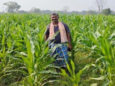 संघर्ष से सफलता तक! नक्सल मुक्त क्षेत्र में आधुनिक खेती से गोपाल एर्रागोला ने बदली किस्मत