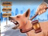 Stray Dogs मामले में SC का बड़ा फैसला, बच्चों और मरीजों की सुरक्षा को दी प्राथमिकता