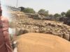 80 लाख मीट्रिक टन से अधिक गेहूं उपार्जन के स्लॉट बुक, प्रदेश में लगातार बढ़ रहा आंकड़ा: CM यादव