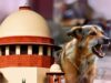 सुप्रीम कोर्ट के निर्देश लागू करना कितना आसान? आवारा कुत्तों के लिए सुविधाओं पर उठी बहस