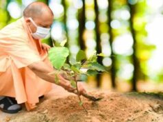 सामाजिक समरसता और पर्यावरण संरक्षण का मिशन, यूपी में शुरू होगा बड़ा वृक्षारोपण अभियान