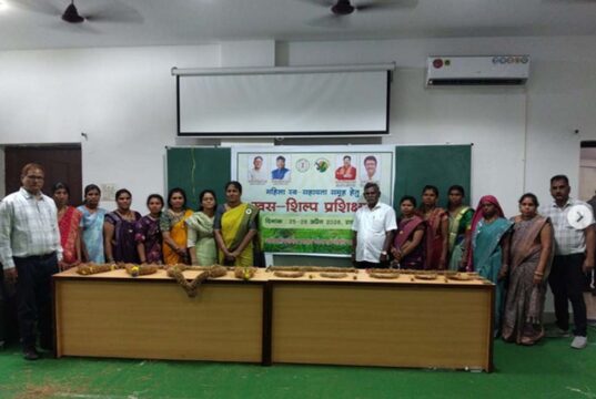 औषधि पादप बोर्ड की नई कार्ययोजना से आत्मनिर्भरता की नई इबारत लिख रही हैं ग्रामीण महिलाएं