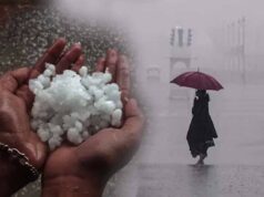 भीषण गर्मी के बीच बदला मौसम, भोपाल समेत 31 जिलों में गरज-चमक के साथ बारिश का अलर्ट
