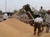 लखनऊ में खाद्य विभाग की समीक्षा बैठक, 25 लाख टन लक्ष्य पर जोर