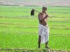 कम लागत, बेहतर उत्पादन और मिट्टी की सुरक्षा का नया विकल्प : नैनो उर्वरक