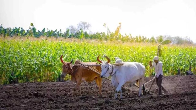 kISAN_01-4.jpg
