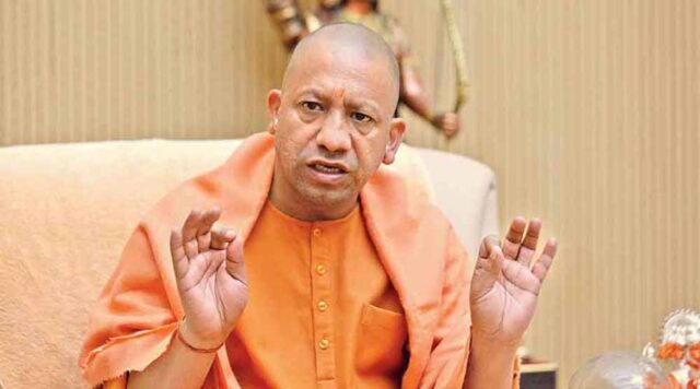 yogi_01-9.jpg