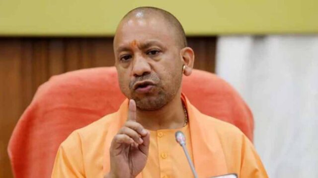 yogi_06-8.jpg