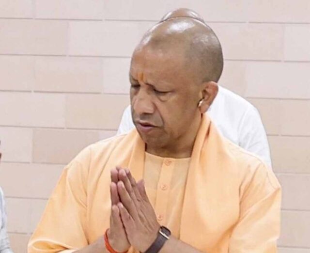 yogi_07-1.jpg