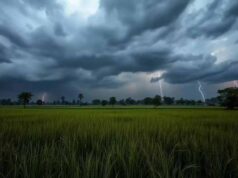 मौसम बदलेगा मिजाज: पूरे झारखंड में बारिश के आसार, पलामू-गढ़वा में 40°C तक पहुंचेगा पारा