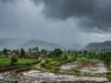 Monsoon 2026 Update: मध्य प्रदेश में मानसून की दस्तक तय, कई जिलों में बारिश और आंधी का अलर्ट