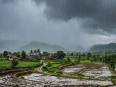 Monsoon 2026 Update: मध्य प्रदेश में मानसून की दस्तक तय, कई जिलों में बारिश और आंधी का अलर्ट