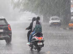 मध्य प्रदेश में 43 जिलों के लिए वर्षा चेतावनी, एंट्री के बाद थमा मानसून; 2-3 दिन और नहीं मिलेगी राहत