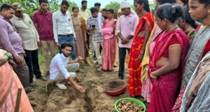 धमतरी का नगरी बनेगा हल्दी उत्पादन का नया हब, 250 किसानों ने अपनाई वैज्ञानिक खेती