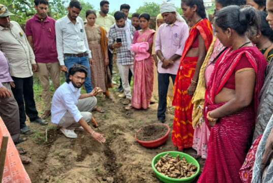 धमतरी का नगरी बनेगा हल्दी उत्पादन का नया हब, 250 किसानों ने अपनाई वैज्ञानिक खेती