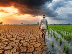 मानसून पड़ा कमजोर! जून में सामान्य से 42% कम बारिश, एल-नीनो ने बढ़ाई चिंता