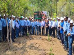 पेड़ लगाकर मनाया पर्यावरण दिवस, जिंदल स्टील मशीनरी डिवीजन रायपुर ने दिखाई हरियाली के प्रति प्रतिबद्धता