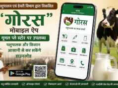 पशुपालन एवं डेयरी विभाग द्वारा विकसित “गोरस” मोबाइल ऐप गूगल प्ले स्टोर पर उपलब्ध, पशुपालक और किसान आसानी से कर सकेंगे डाउनलोड