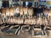 अब नहीं चलेगा प्रेशर हॉर्न! बिलासपुर पुलिस की सख्ती, मॉडिफाइड साइलेंसर वालों पर कार्रवाई