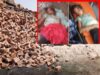 CG में कच्ची दीवार बनी काल, दो मासूमों की मौत, महिला की हालत नाजुक