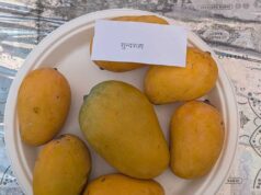 एपीडा ने किया सहयोग, मप्र की उदयानिकी उत्पादों को मिला विदेशी बाजार