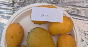 एपीडा ने किया सहयोग, मप्र की उदयानिकी उत्पादों को मिला विदेशी बाजार