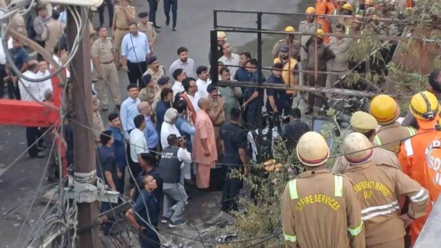 cm_yogi_in_d-1.jpg