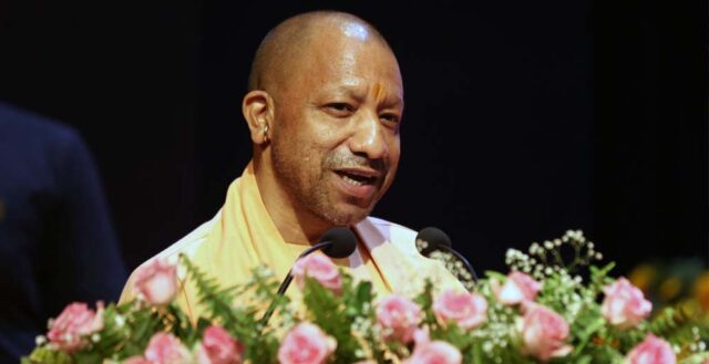 yogi_0_2_3-1.jpg