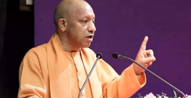 yogi_2_27_1-2.jpg