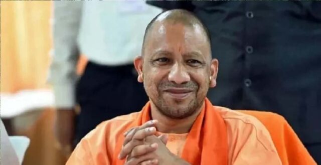yogi_2_27_2-3.jpg