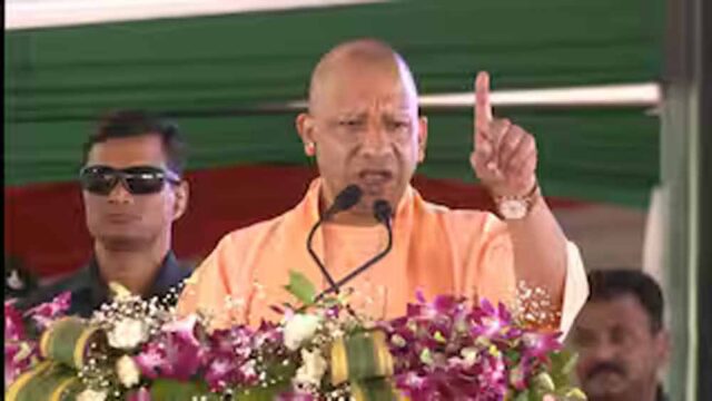 yogi_3-4.jpg