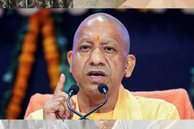yogi_89_1-6.jpg