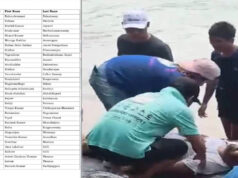 भारतीय पर्यटकों की नाव वियतनाम में दुर्घटनाग्रस्त, 15 की मौत; 21 लोगों को बचाया गया