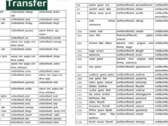 उत्तर प्रदेश प्रशासन में बड़ा फेरबदल: 181 PCS अधिकारियों समेत 363 अफसरों के तबादले, कई जिलों के SDM बदले