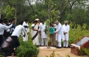 दिल्ली में 70 लाख पौधे लगाए जाएंगे, रिज क्षेत्र में लगेंगे पीपल, नीम और बरगद