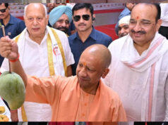 आधा किलो वजनी आम ने खींचा सबका ध्यान, यूपी मैंगो फेस्टिवल में CM योगी ने की सराहना