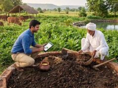खेत से ब्रांड तक: ऑर्गेनिक फार्मिंग में यूपी के युवाओं के लिए कमाई का नया मॉडल