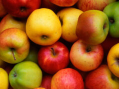 Apple Crisis in Himachal: 40% तक घट सकता है सेब उत्पादन, जानें कौन बन रहा ₹5000 करोड़ के कारोबार का सबसे बड़ा ‘खलनायक’